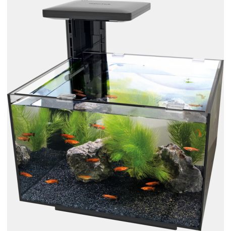 Superfish Qubiq 20