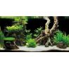Superfish Deco Poster G2 60x49cm