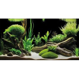 Superfish Deco Poster G6 150x61cm