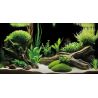 Superfish Deco Poster G6 150x61cm