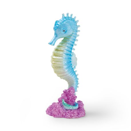EDEN Hippocampe