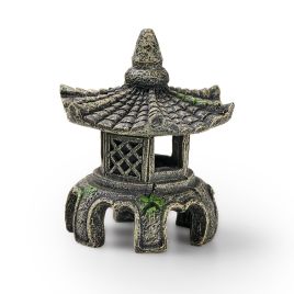 EDEN Temple asiatique W