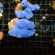 Haliclona caerulea - Éponge bleue 5-7 cm 39,50 €