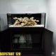 Reef Start 120 Equipé