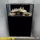 Reef Start 90 XL