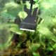 Hobby Algea Scraper Telescopic 47-65cm