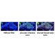 Maxspect Pastel Reef Magnifier Lens M