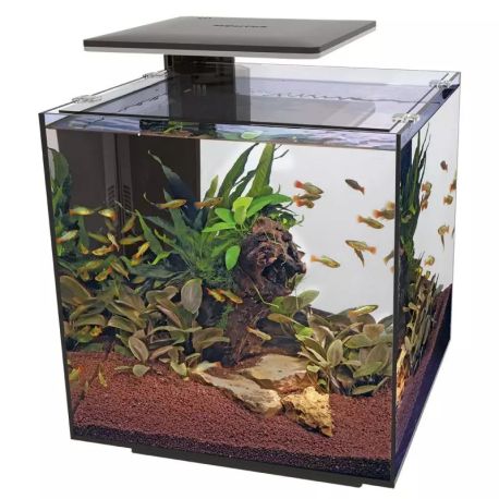 Superfishaquarium qubiq 60 Pro