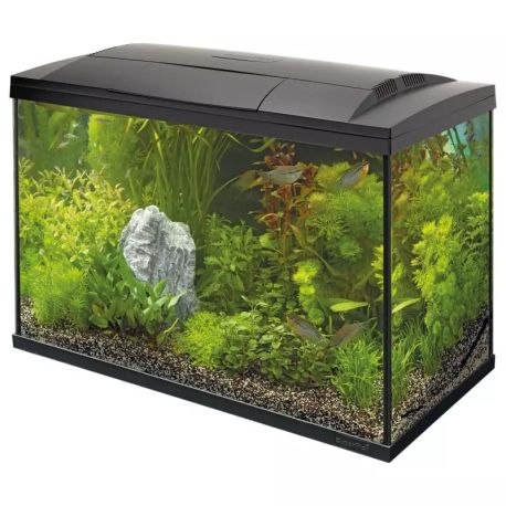Superfishaquarium start 100 tropical kit 