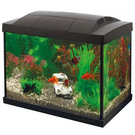 Superfishaquarium start 20 goldfish kit 