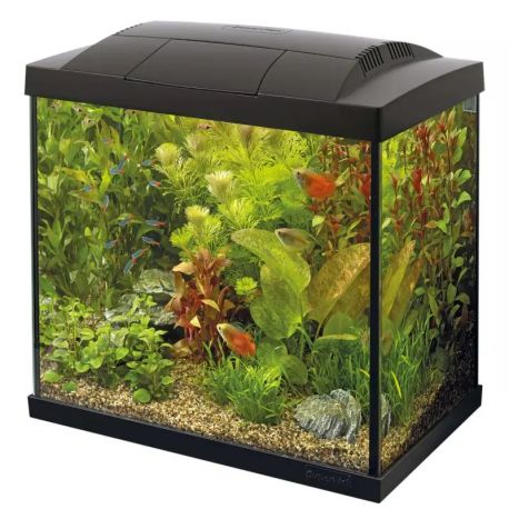 Superfishaquarium start 30 tropical kit