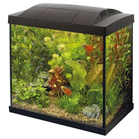 Superfishaquarium start 50 tropical kit 