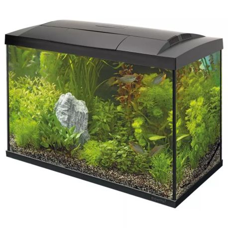 Superfishaquarium start 70 tropical kit 