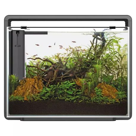 Superfish home 85 aquarium