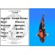 Koï Japon Ginrin Showa femelle éleveur Shinoda 61cm