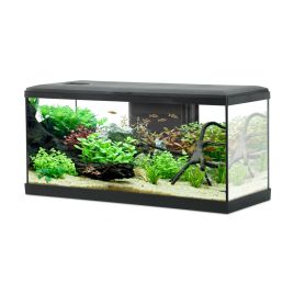Zolux KIT AQUA TANA 60