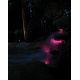 Pontec PondoStar LED RGBW Set 3
