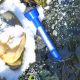 JBL Pond Thermomètre flottant pour bassin