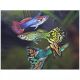 Guppys Mâles assortis lot de 10 + 2 offerts