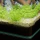 Aquatlantis Kubus Curve 30L