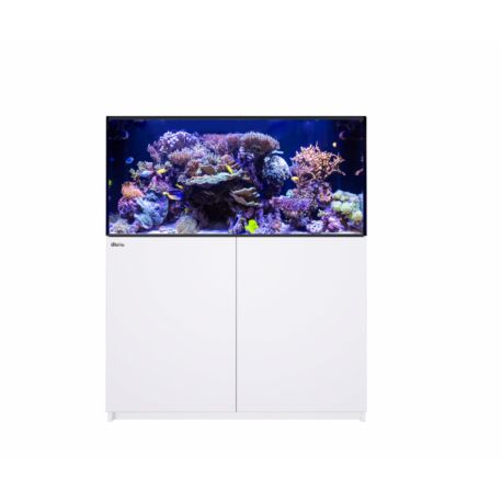 Reefer™ 425 G3 