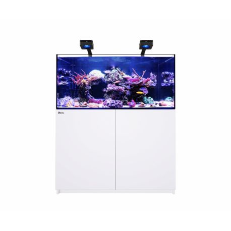 Reefer™ 350 G3 Deluxe (2 RL 115 + 2 potences)