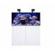 Reefer™ 425 G3 Deluxe(choix Reefled 115/170)