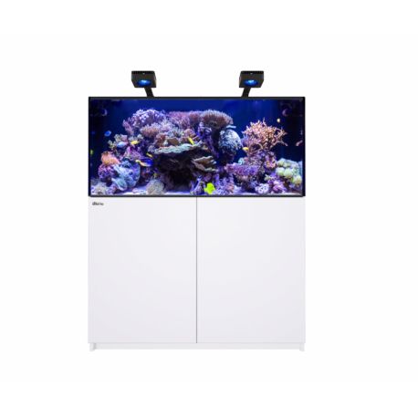Reefer™ 425 G3 Deluxe(choix Reefled 115/170)