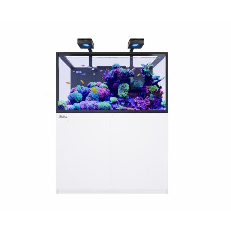 Reefer™ S 550 G3 Deluxe - Noir (2 RL 170 + 2 potences)