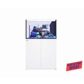 Reefer™ Peninsula 350 G3 
