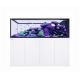 Reefer™ Peninsula S 950 G3