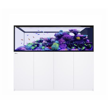 Reefer™ Peninsula S 950 G3