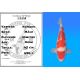 Koï Japon Kohaku mâle éleveur Himitsu 45cm