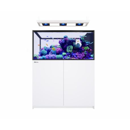Reefer™ Peninsula 500 G3 Deluxe(choix Reefled 115/170)
