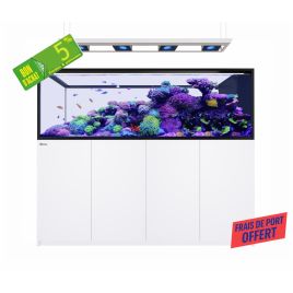 Reefer™ Peninsula S 950 G3 Deluxe - Blanc (4 RL 170 + rampe suspendue)