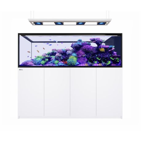Reefer™ Peninsula S 950 G3 Deluxe - Blanc (4 RL 170 + rampe suspendue)