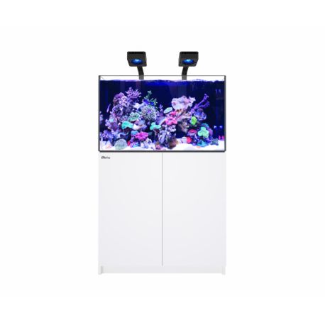 Reefer MAX 300 G3 