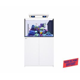 Reefer MAX Peninsula 350 G3 