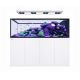 Reefer MAX Peninsula S-950 G3 