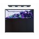 Reefer MAX Peninsula S-950 G3 