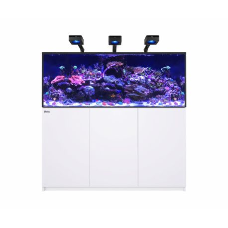 Reefer™ 625 G3 Deluxe (choix Reefled 115/170)