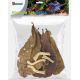 Superfish Biotope set betta