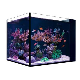 RedSea Desktop® Peninsula 