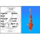 Koï Japon Goshiki éleveur Kanno 36-41 cm