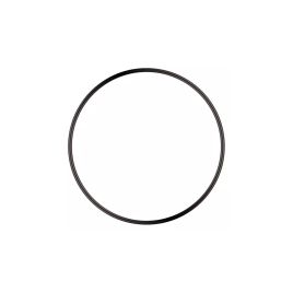 Sera joint torique pour PS 200