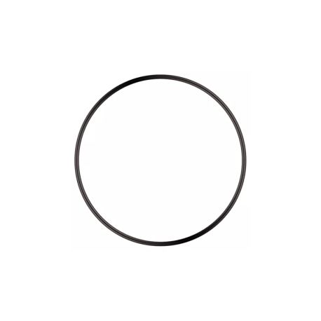 Sera joint torique pour PS 200