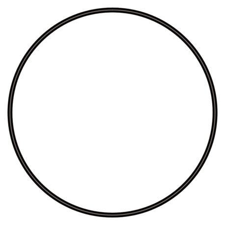 Sera joint torique 25mm