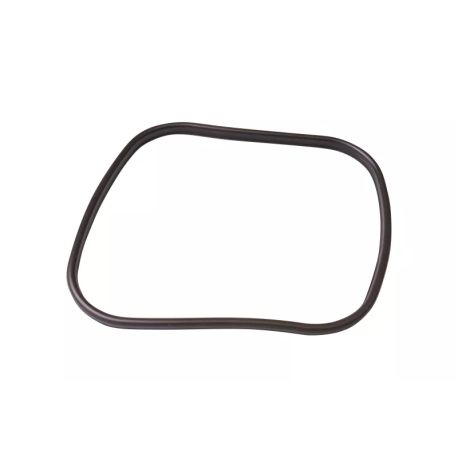 Oase joint de rechange BioMaster 