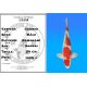 Koï Japon Goshiki mâle éleveur Kawakami 54 cm