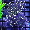 Bouture Euphyllia glabrescens black torch (2 polypes)